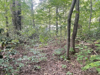TBD Rattlesnake Mountain Rd, Black Mountain, NC 28711
