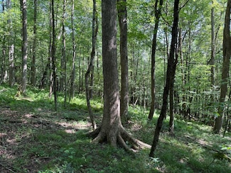 1181 Brown Hill Rd, Youngsville, PA 16371