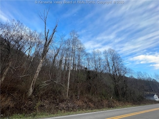 1136 Pond Fork Rd, Madison, WV 25130