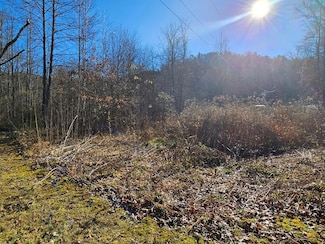 24.74 AC E Fork Rd, Sylva, NC 28779