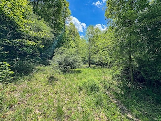 McCurdysville Rd Unit Lot WP001, Rivesville, WV 26588