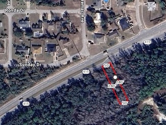 0 State Route 415, Osteen, FL 32764