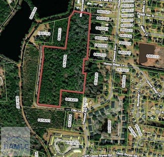 14.96 Ac Ellie Ln, Hinesville, GA 31313