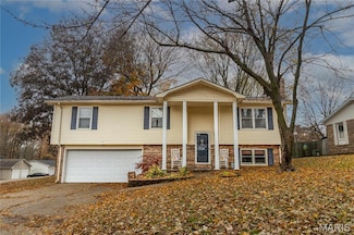 908 E Cottonwood Ln, Dexter, MO 63841