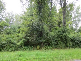 V/L Greenbush Rd, Newstead, NY 14001