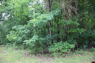 001-09520-000 Hwy 178, Lakeview, AR 72642