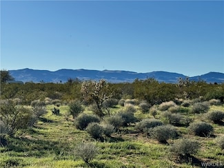 10 AC Colorado Rd, Golden Valley, AZ 86413