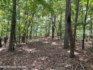 Lot 25 Still Waters Dr, Dadeville, AL 36853