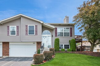 19927 S Edinburgh Ln Unit 4, Frankfort, IL 60423