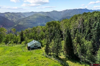 361 Golden Ridge Dr, Ridgway, CO 81432