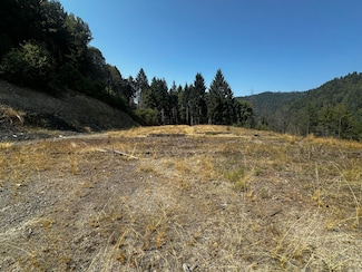 000 Un-Named Rd, Willow Creek, CA 95573