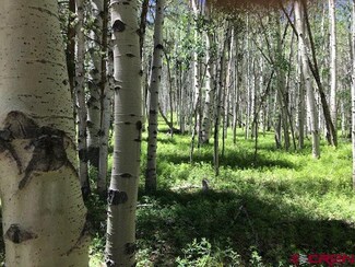 TBD Soul's Ease Rd, Pitkin, CO 81239