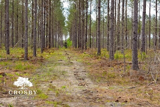 0 Lindsay Rd, Round O, SC 29474
