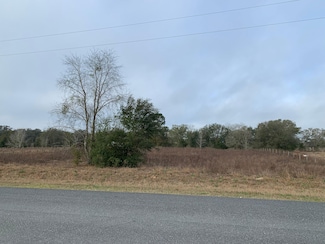 0 SE 175th Ct Unit 18229393, Morriston, FL 32668