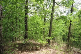 Lot 10/11 Twin Springs Trail Unit 10 & 11, Hot Springs, NC 28743