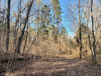23A Highway 5, Mountain View, AR 72560