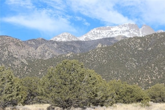 3233 Camino Del Rey, Crestone, CO 81131