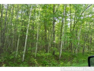 xxx 50th St, Clayton Township, WI 54001