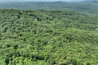 7.89 AC Laurel Springs Rd, Mineral Bluff, GA 30559