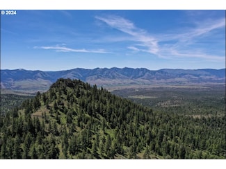 0 Little Black Butte Unit 24111491, Mount Vernon, OR 97865