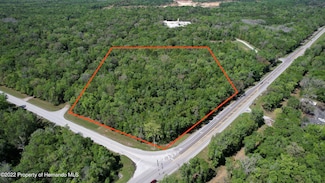 0 Ponce de Leon Blvd Unit 2223379, Brooksville, FL 34601