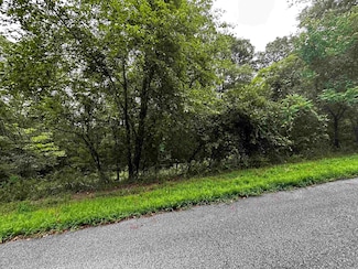 Lot 67 Cobalt Bay Dr, Shirley, AR 72153