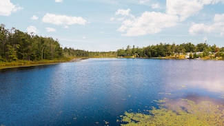 7982 Blueberry Ln, Johannesburg, MI 49751