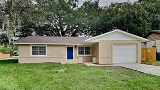 1315 Oak Valley Dr, Seffner, FL 33584