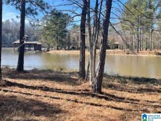 89 Golden Pond Rd Unit 9, Ashville, AL 35953