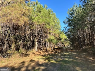 0018 Barnes Rd, Gordon, AL 36343