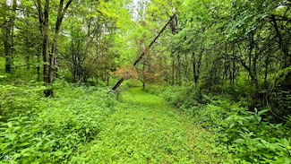 11200 L4 McCrearys Ridge Rd, Florence, IN 47020