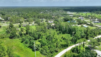 3989 Cresthill Ln, Crestridge, FL 32168