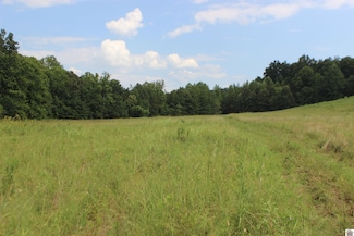 000 E Hwy 62, Kuttawa, KY 42028