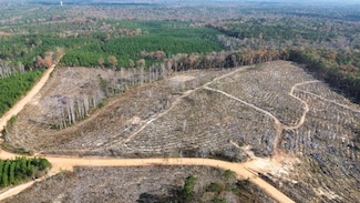 40 Boromville Rd, Hurtsboro, AL 36860