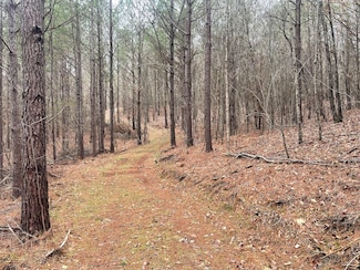 0 Alabama 107, Guin, AL 35594