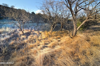 Lot  D2 Stevens Canyon Rd Unit 2, Patagonia, AZ 85624