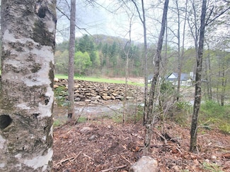 120 Tumbling Falls Dr Unit 12, Canton, NC 28716