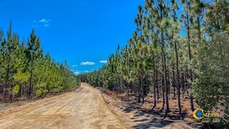 0 Old Cc Rd, Cassatt, SC 29032