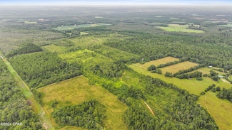 Off Cope Rd, Chipley, FL 32428