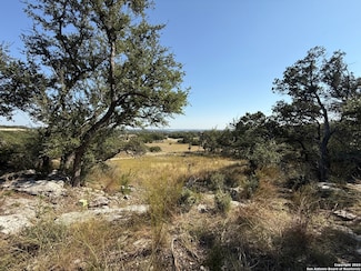 420 Coneflower Dr, Spring Branch, TX 78070
