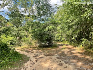 1901 Harvest Way, Middleburg, FL 32068