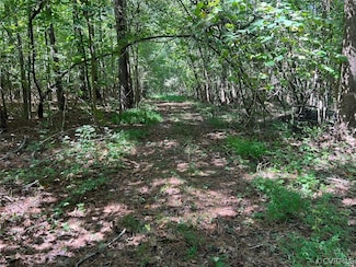 1 Poplar Ridge, Amelia, VA 23083