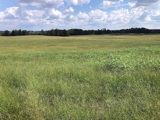 2620 County Road 1435, Vinemont, AL 35179