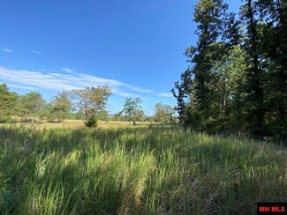 Tract A Deb-Mar Woods Terrace, Midway, AR 72653