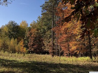 0 County Route 11 Unit 126382, Taghkanic, NY 12523