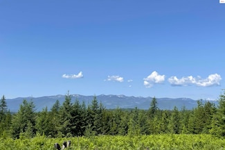 601 Coyote Trail, Sandpoint, ID 83864