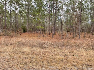 LOT 25 SE 138th Ave, Dunnellon, FL 34431