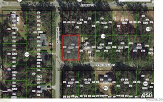 3817 E Allendale St, Inverness, FL 34453
