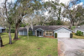 2508 Rustic Oaks Dr, Lutz, FL 33559
