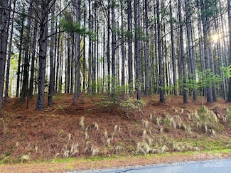 0 Clearwater Pkwy Unit CAR4245375, Rutherfordton, NC 28139